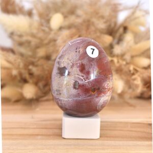 oeuf bois fossile pierre naturelle aux bienfaits d'ancrage, de sagesse, de force, de vitalité